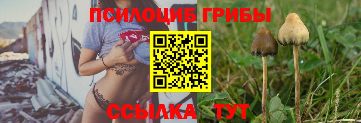Галлюциногенные грибы Psilocybine cubensis Южно-Сахалинск